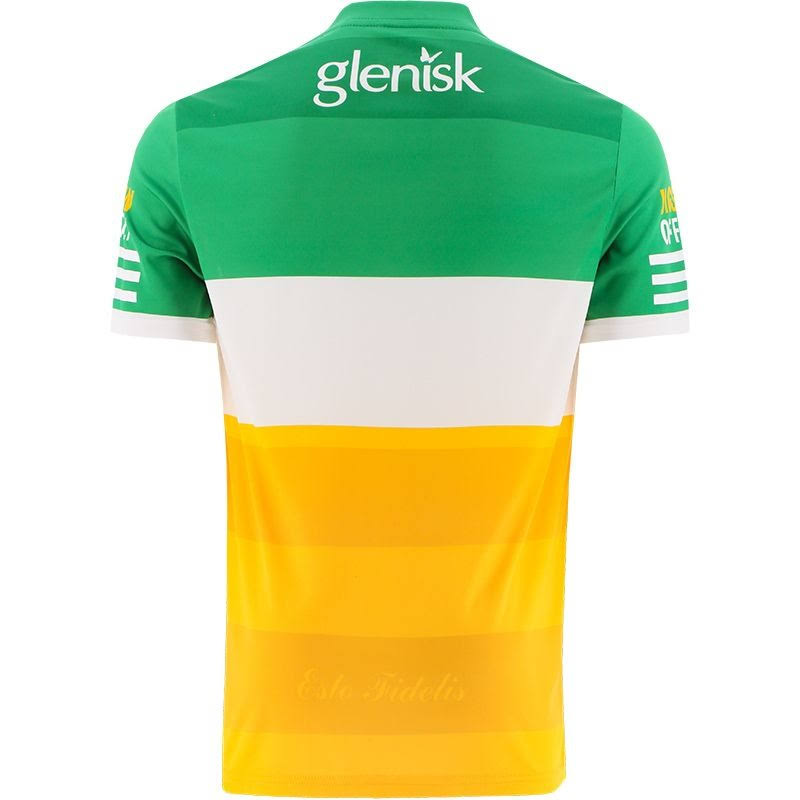 Men's Offaly GAA 2-Stripe 2022 Home Jersey