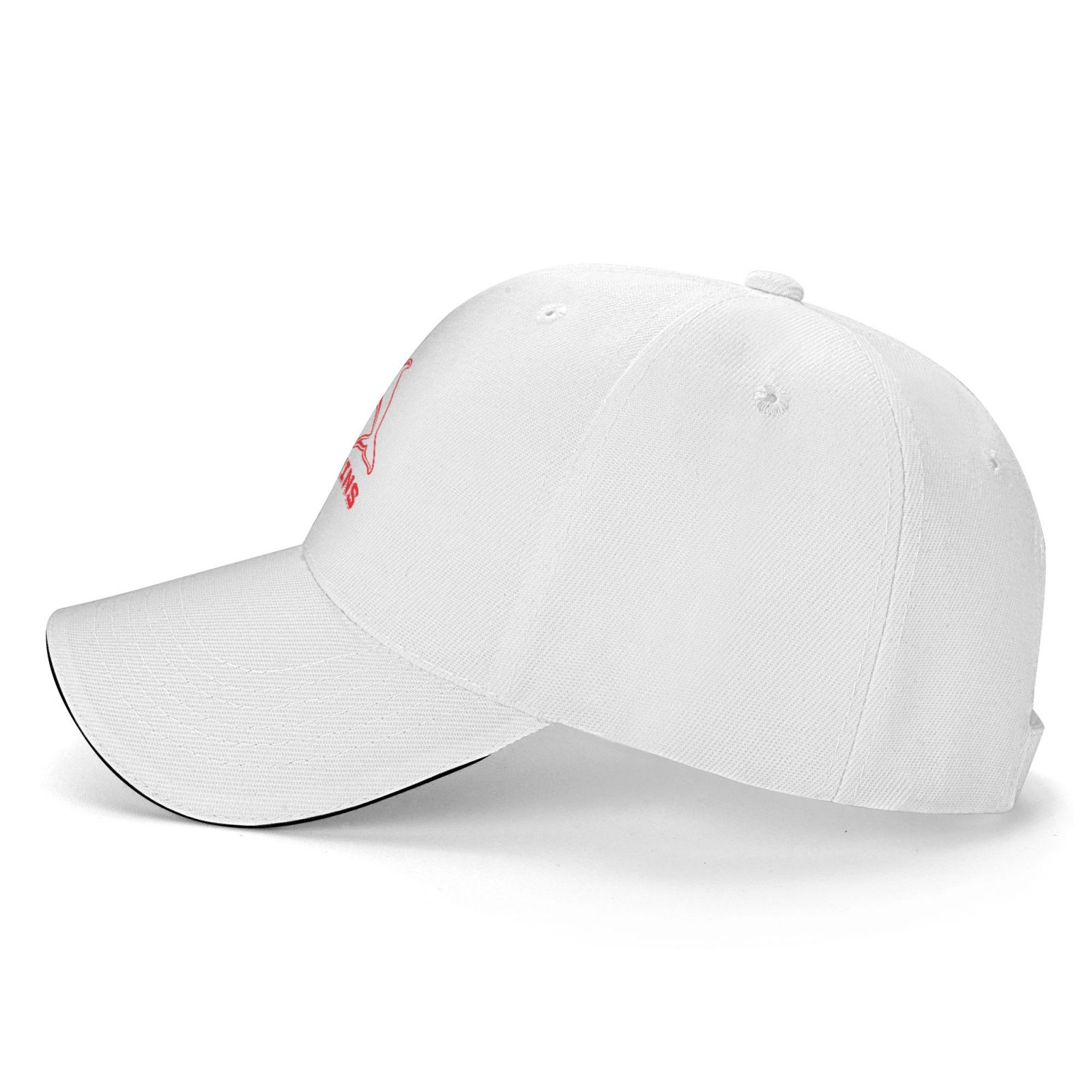 Dolphins Logo Casquette CAP1339