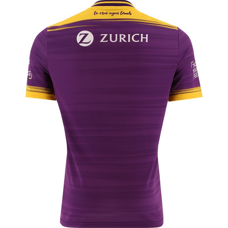 GAA Wexford 2024 Home Jersey