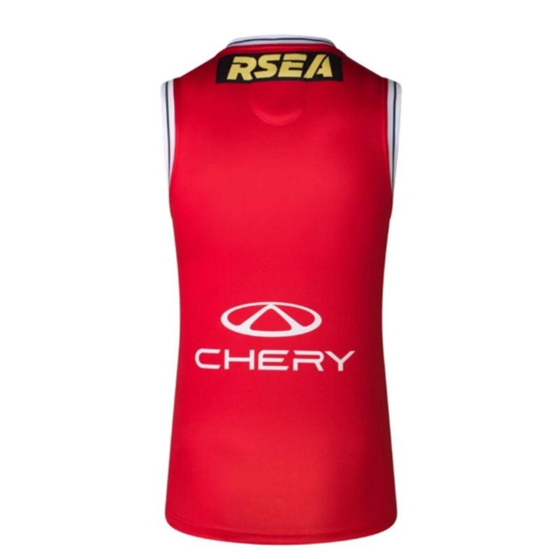 AFL St Kilda Saints 2025 SS Clash Guernsey