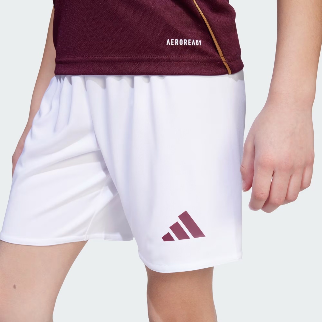 Kid's Aston Villa Home Kit 2025/26
