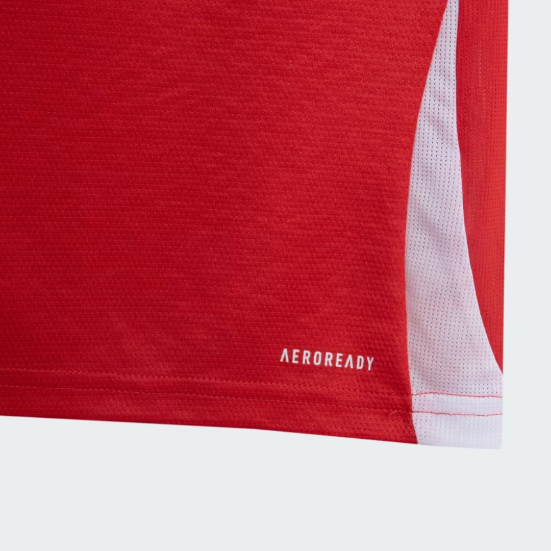 Kid's SC Internacional Home Kit 2025