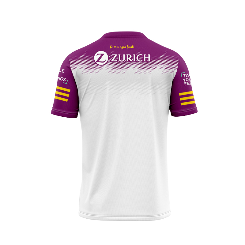 Men's Wexford GAA 2 Stripe 2022 Goalkeeper Jersey