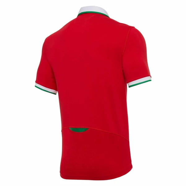 Wales Rugby 2021 Home Polo Shirt