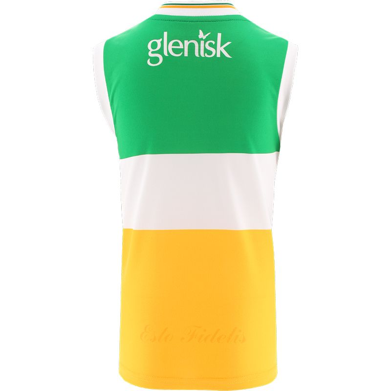 Offaly GAA 2024 Home Vest