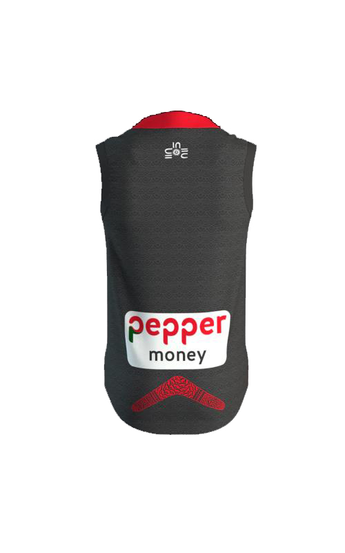 AFL St Kilda Saints 2020 Home Guernsey