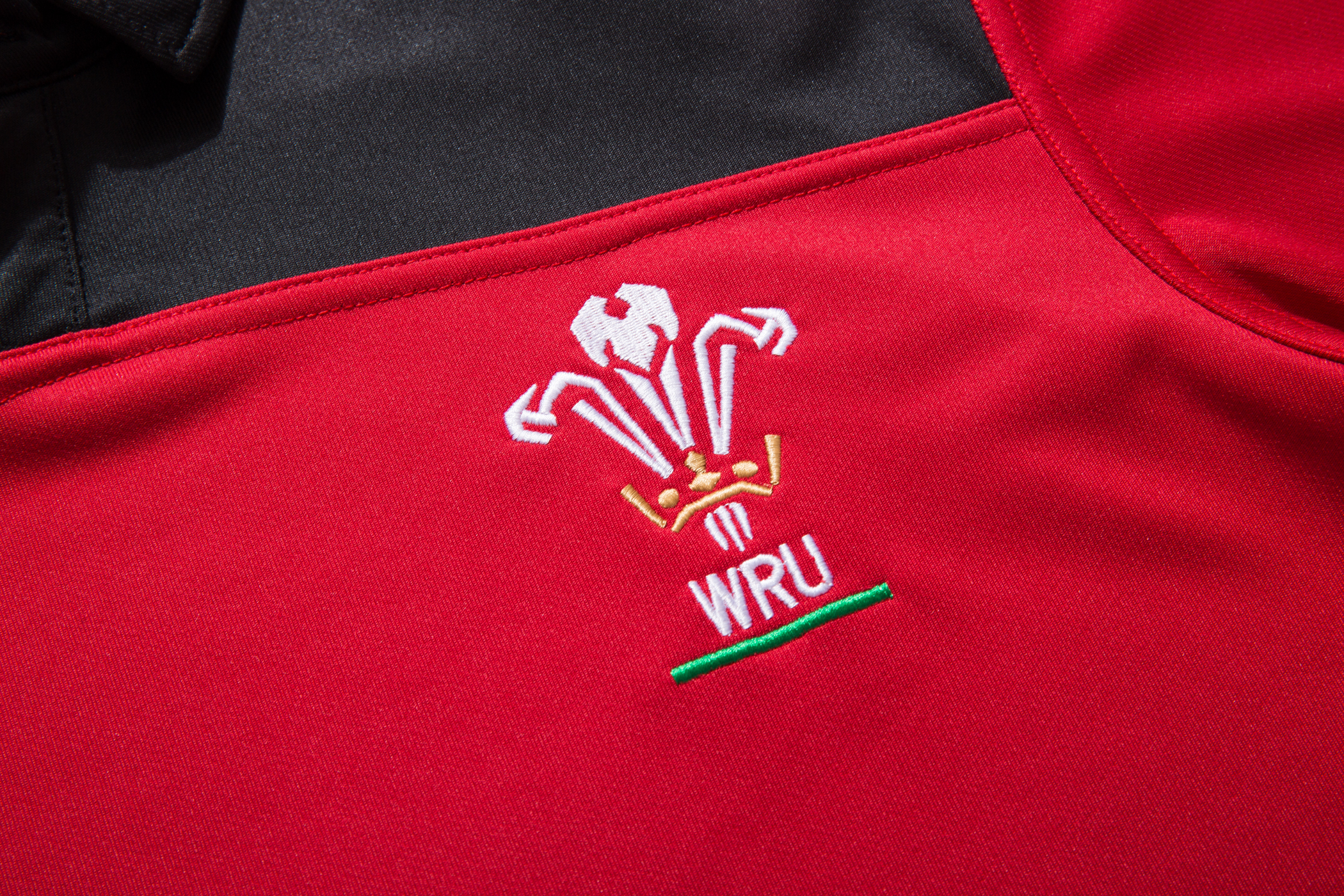 Polo Wales Rugby 2019 Jersey