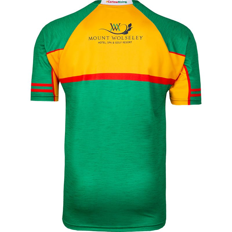 Men's Carlow GAA 2-Stripe 2019 Away Jersey