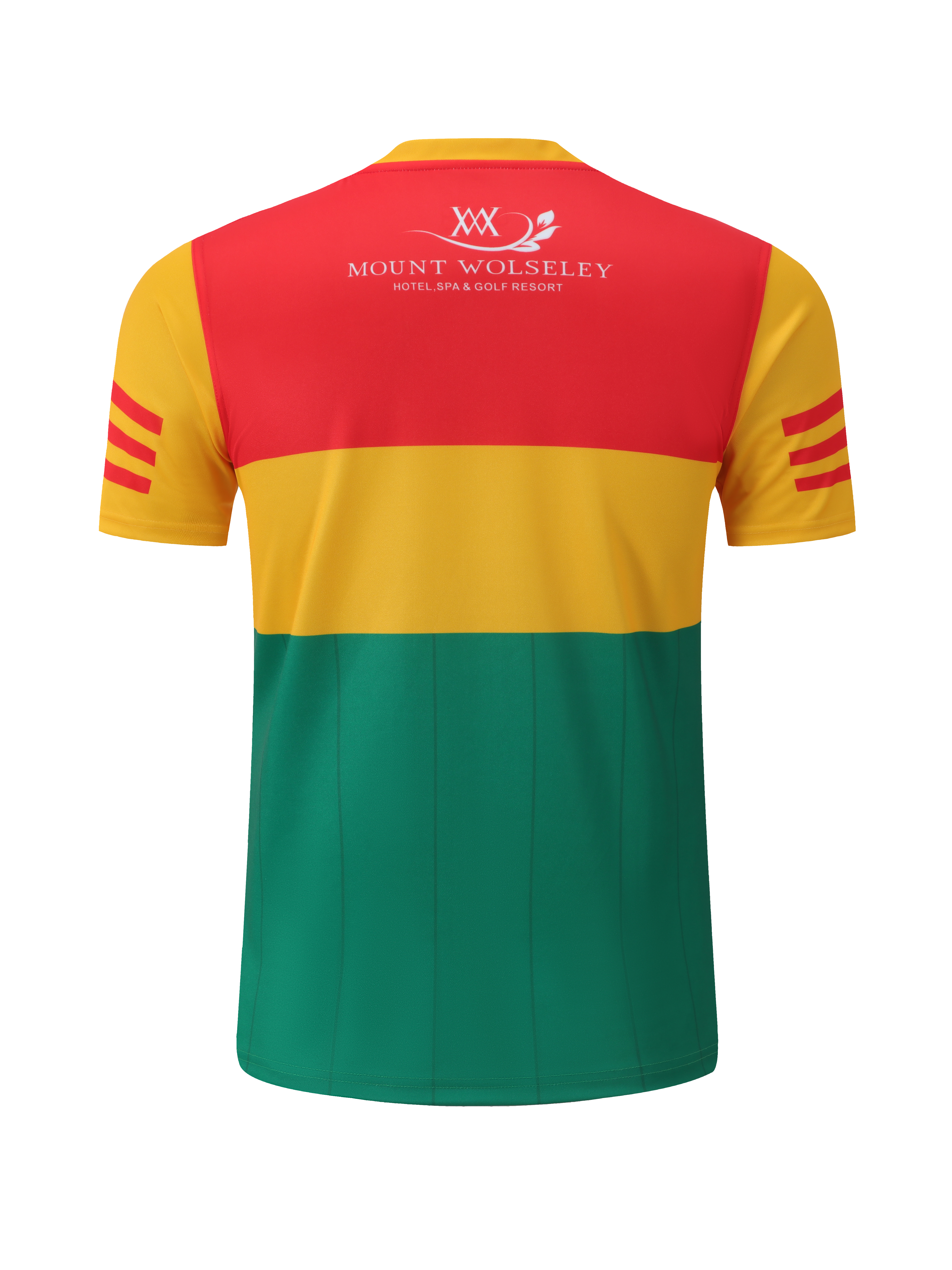 Men's Carlow GAA 2-Stripe 2022 Home Jersey