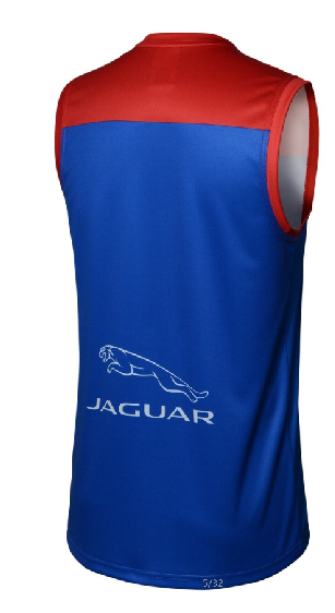 AFL Melbourne Demons 2022 Guernsey