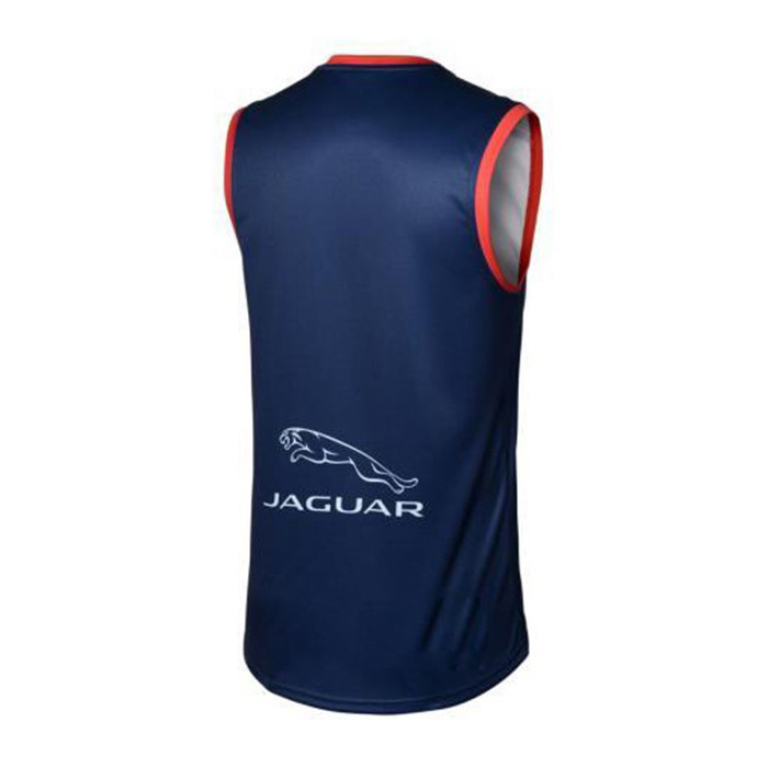 AFL Melbourne Demons 2020 Training Guernsey
