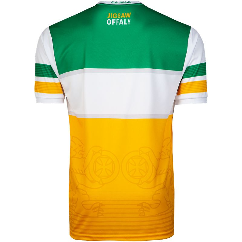 Men's Offaly GAA 2-Stripe 2019 Home Jersey