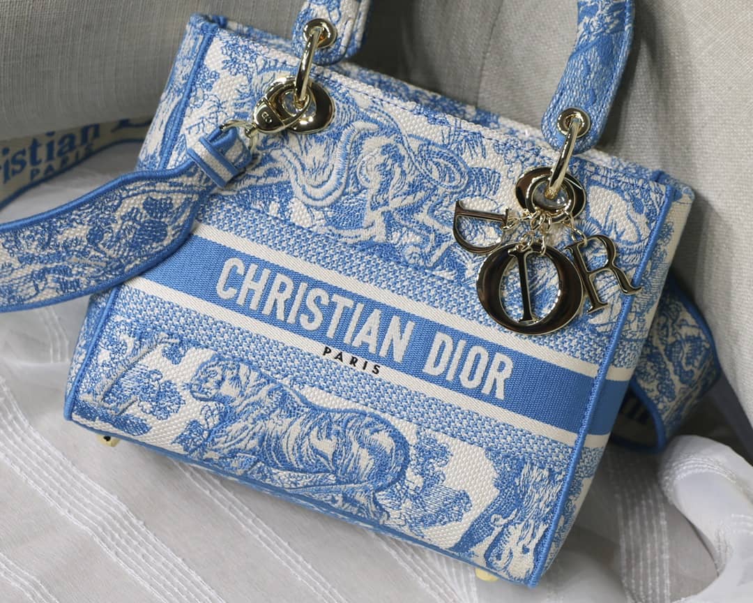 Lady Dior Dupe 24CM Paisley Embroidery Lady D-Lite Bag - DEEPREPS