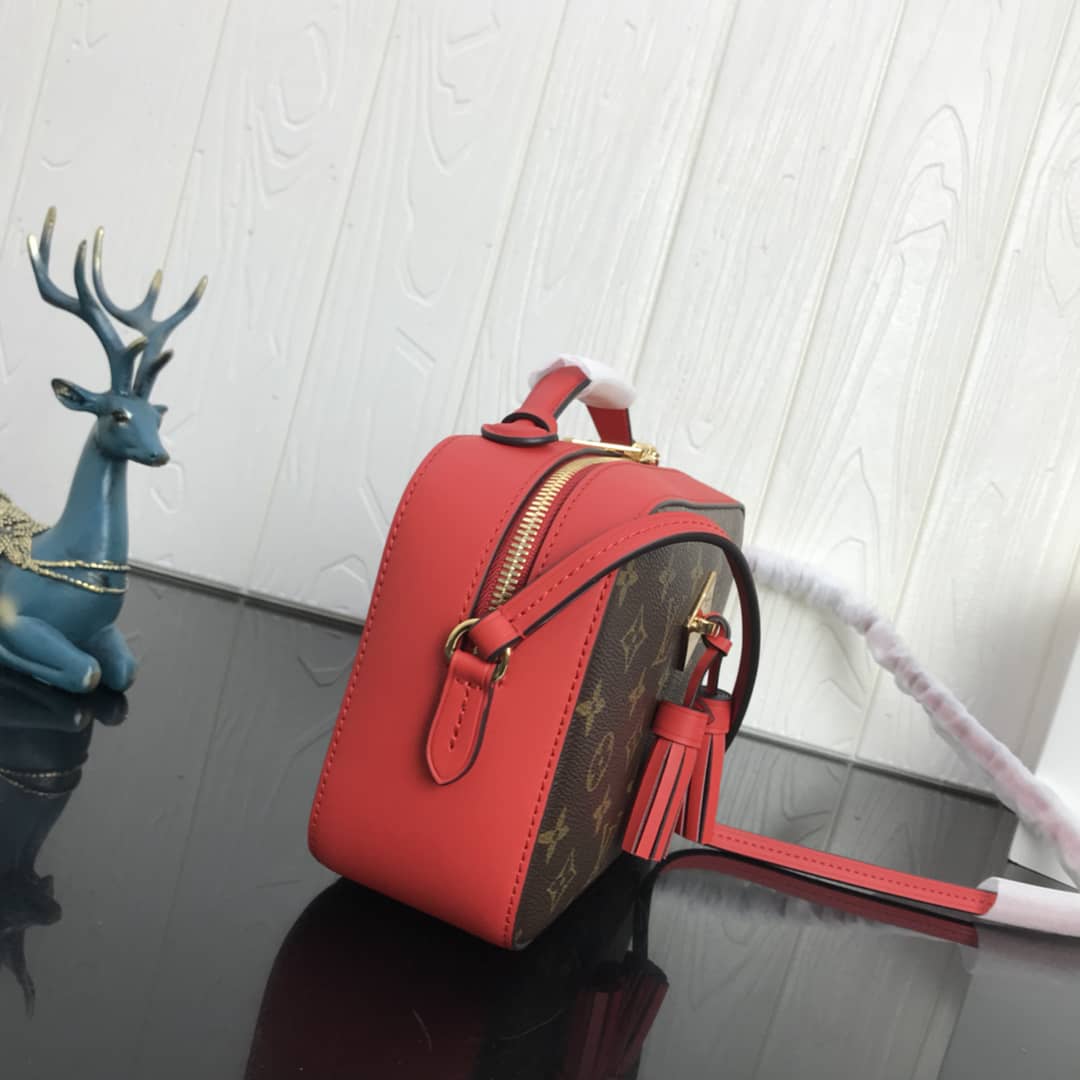 Louis Vuitton Canvas Saintonge Replica Camera Bag Red M43555 - DEEPREPS