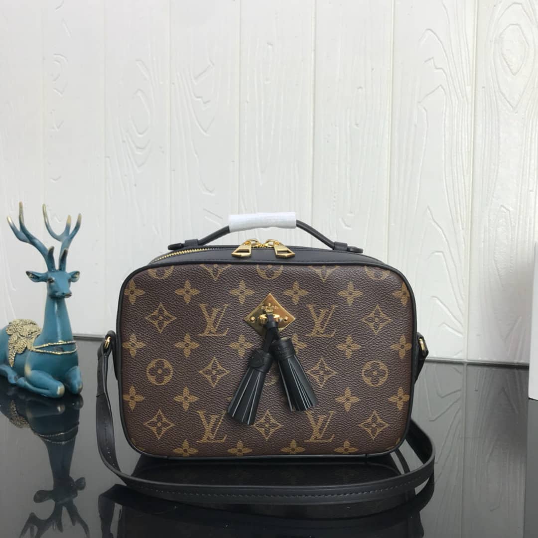 Louis Vuitton Canvas Saintonge Replica Camera Bag Black M43555 - DEEPREPS