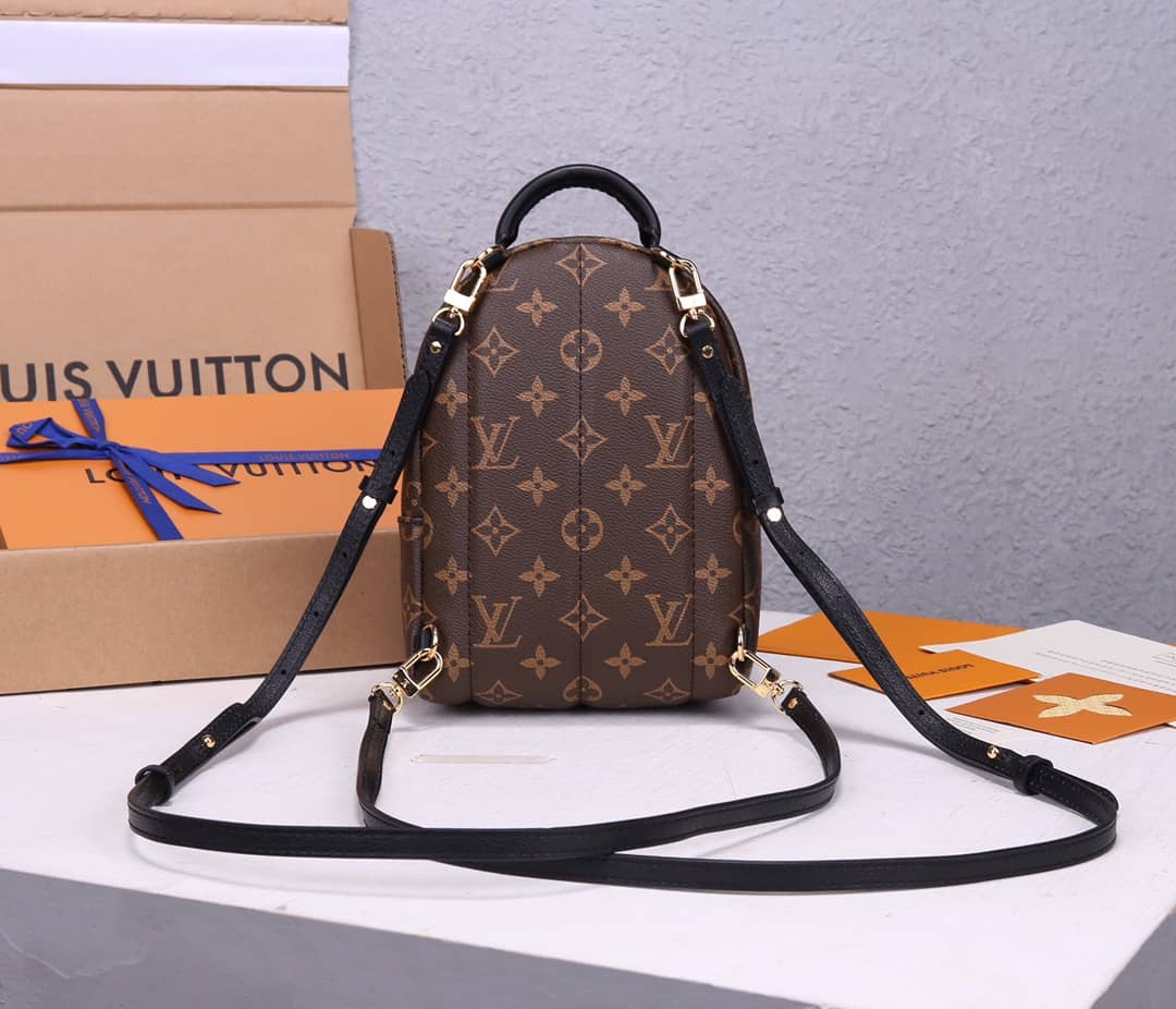 Louis Vuitton Palm Springs Mini Replica Backpack Brown M44873 - DEEPREPS