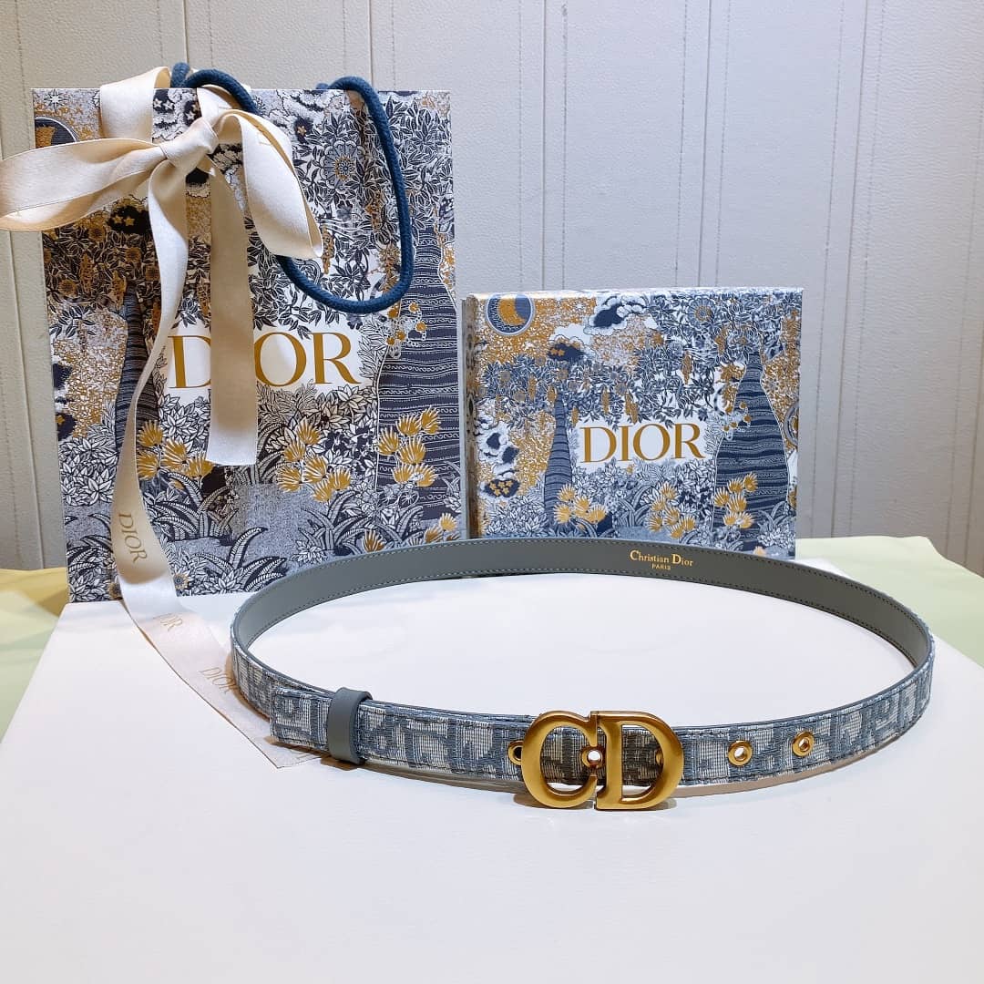 7 Star Dior Leather Belt 20mm For Lady - DEEPREPS