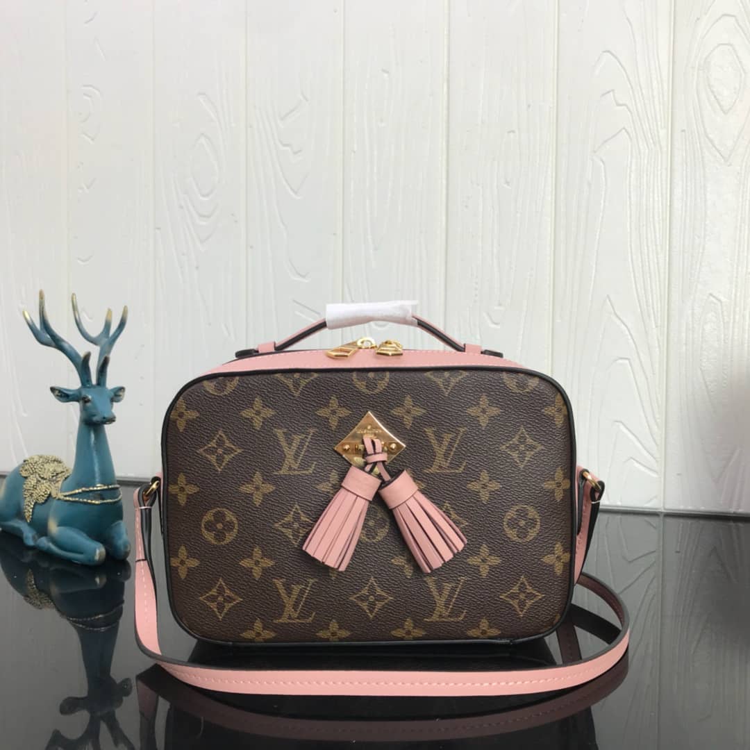 Louis Vuitton Canvas Saintonge Replica Camera Bag Pink M43555 - DEEPREPS
