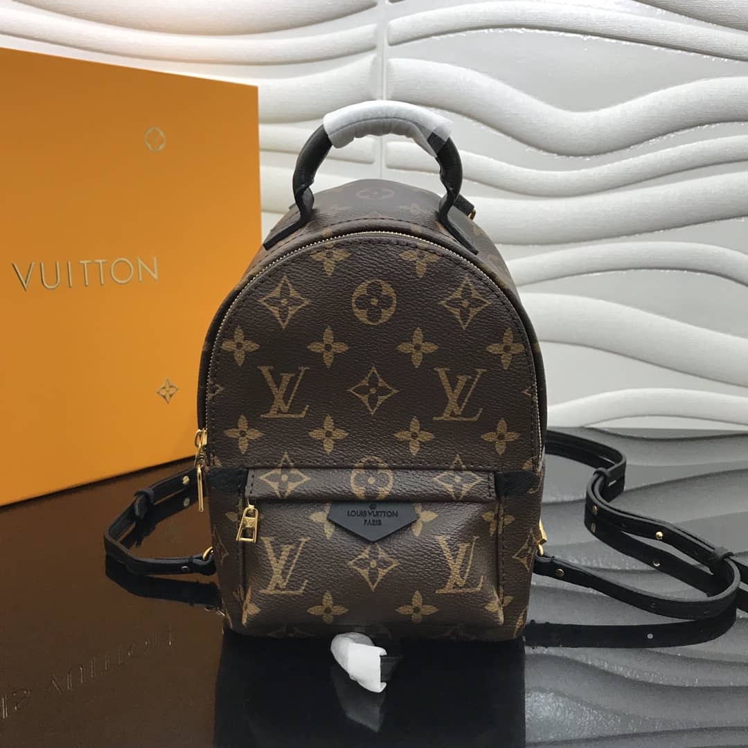 Louis Vuitton Palm Springs Mini Replica Backpack Brown M44873 - DEEPREPS