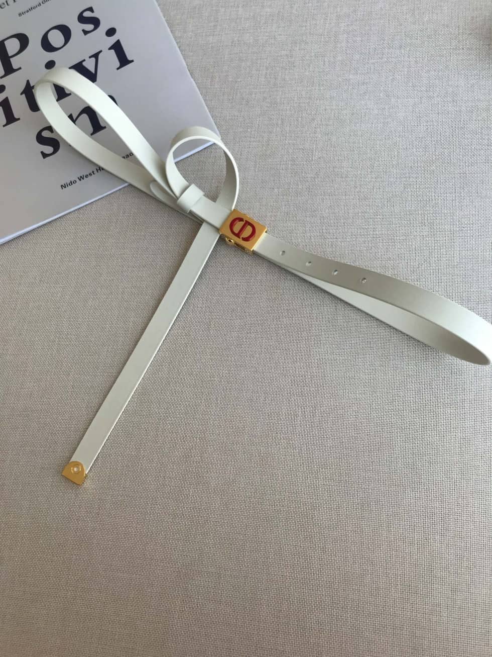 Dior Belt First Copy 17mm For Lady - DEEPREPS