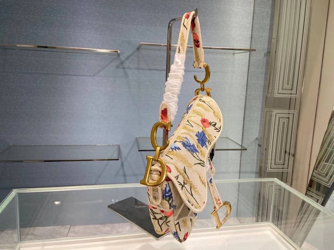 Dior Dupe Bag Oblique Saddle Belt - DEEPREPS