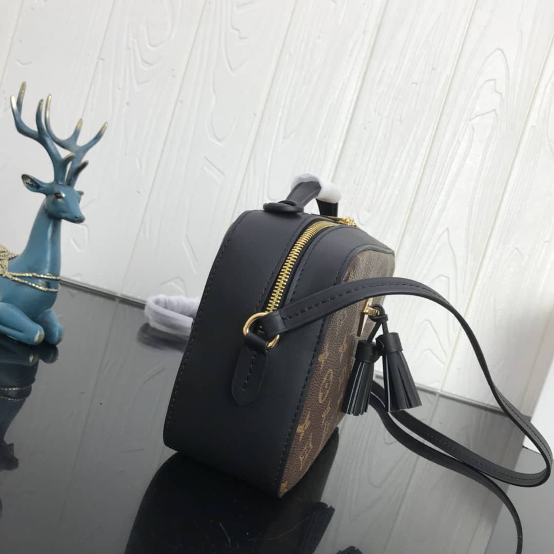 Louis Vuitton Canvas Saintonge Replica Camera Bag Black M43555 - DEEPREPS