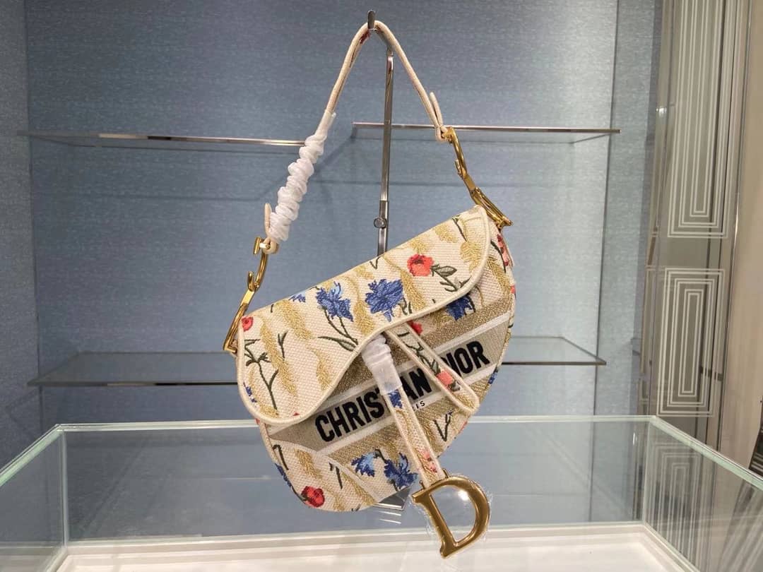 Dior Dupe Bag Oblique Saddle Belt - DEEPREPS