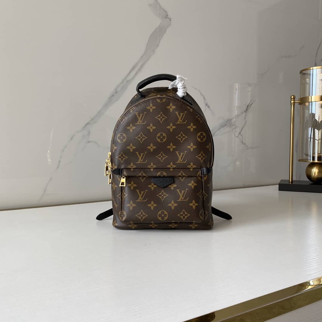 Louis Vuitton Monogram Palm Springs PM Replica Backpack M41560 - DEEPREPS