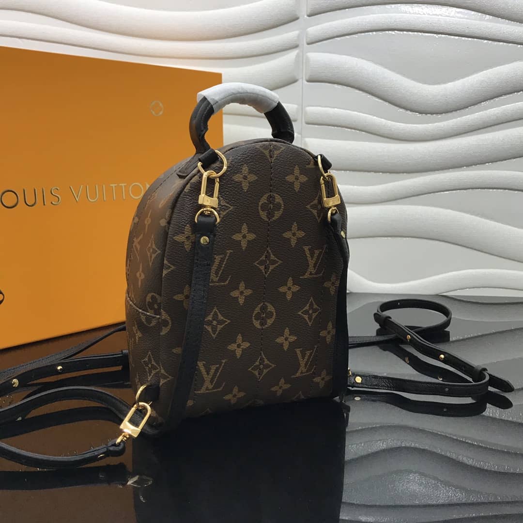 Louis Vuitton Palm Springs Mini Replica Backpack Brown M44873 - DEEPREPS