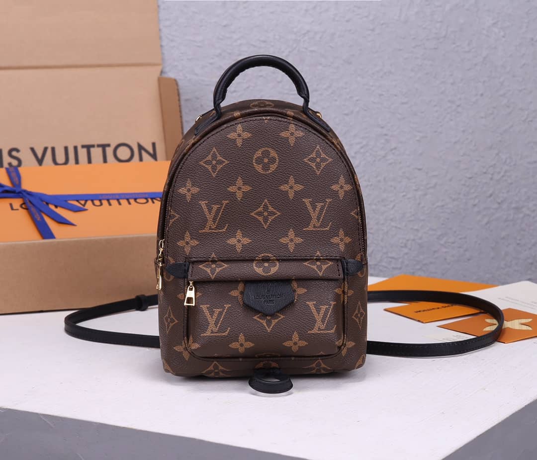 Louis Vuitton Palm Springs Mini Replica Backpack Brown M44873 - DEEPREPS