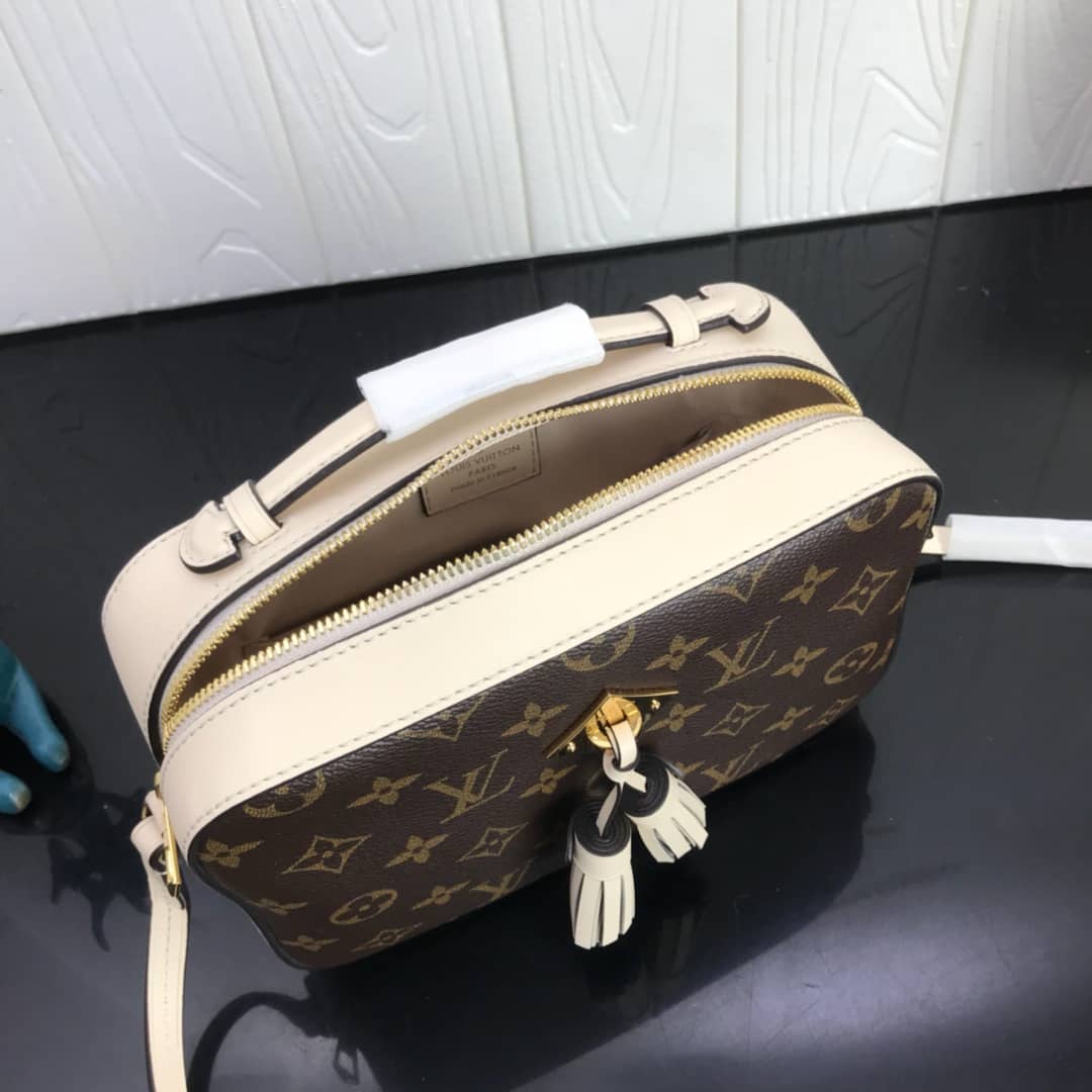 Louis Vuitton Canvas Saintonge Replica Camera Bag White M43555 - DEEPREPS