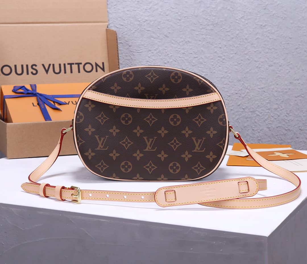 Louis Vuitton Semi-Circle Leather Replica Shoulder Bag M51221 - DEEPREPS
