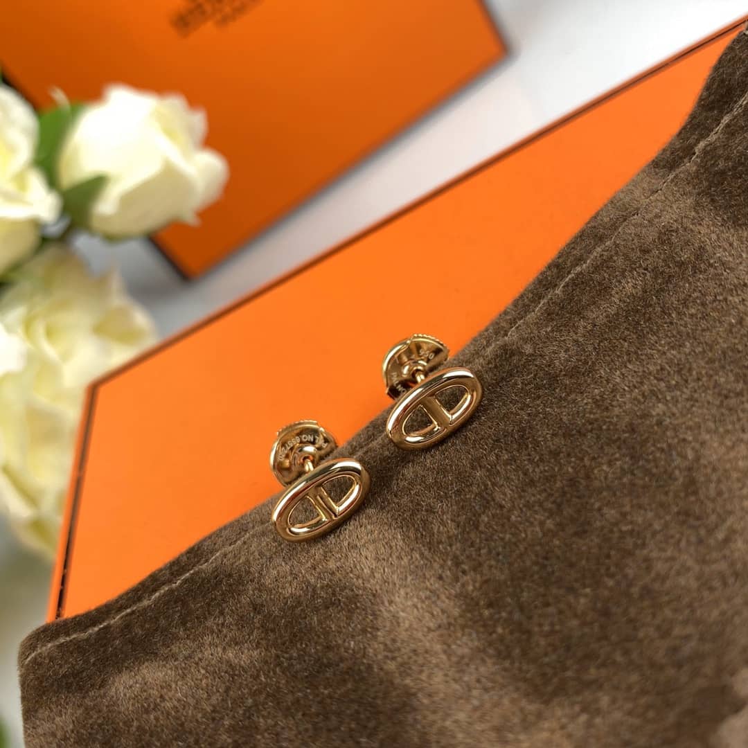 Luxury Hermes Classic AAA+ Earring - DEEPREPS