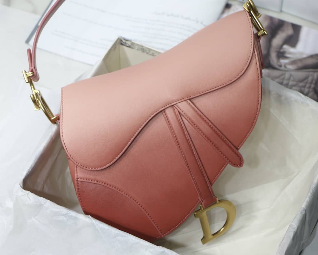Dior Saddle Bag Dupe 25.5CM - DEEPREPS