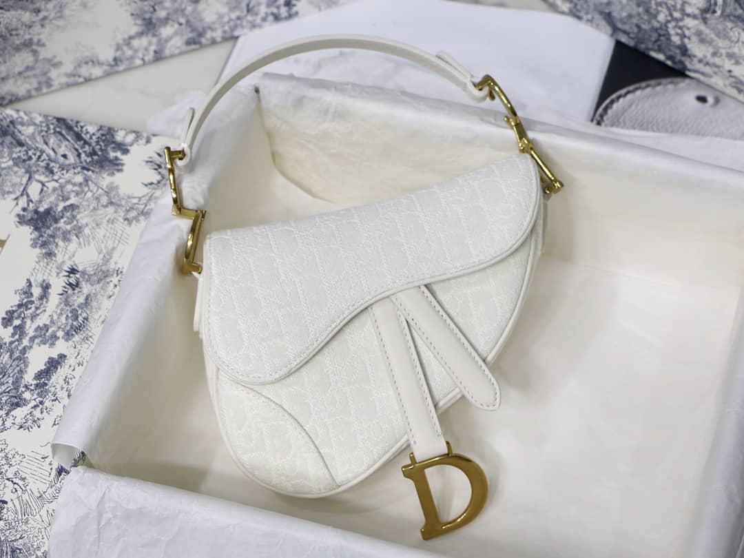 Christian Dior Replica Saddle Bag - DEEPREPS