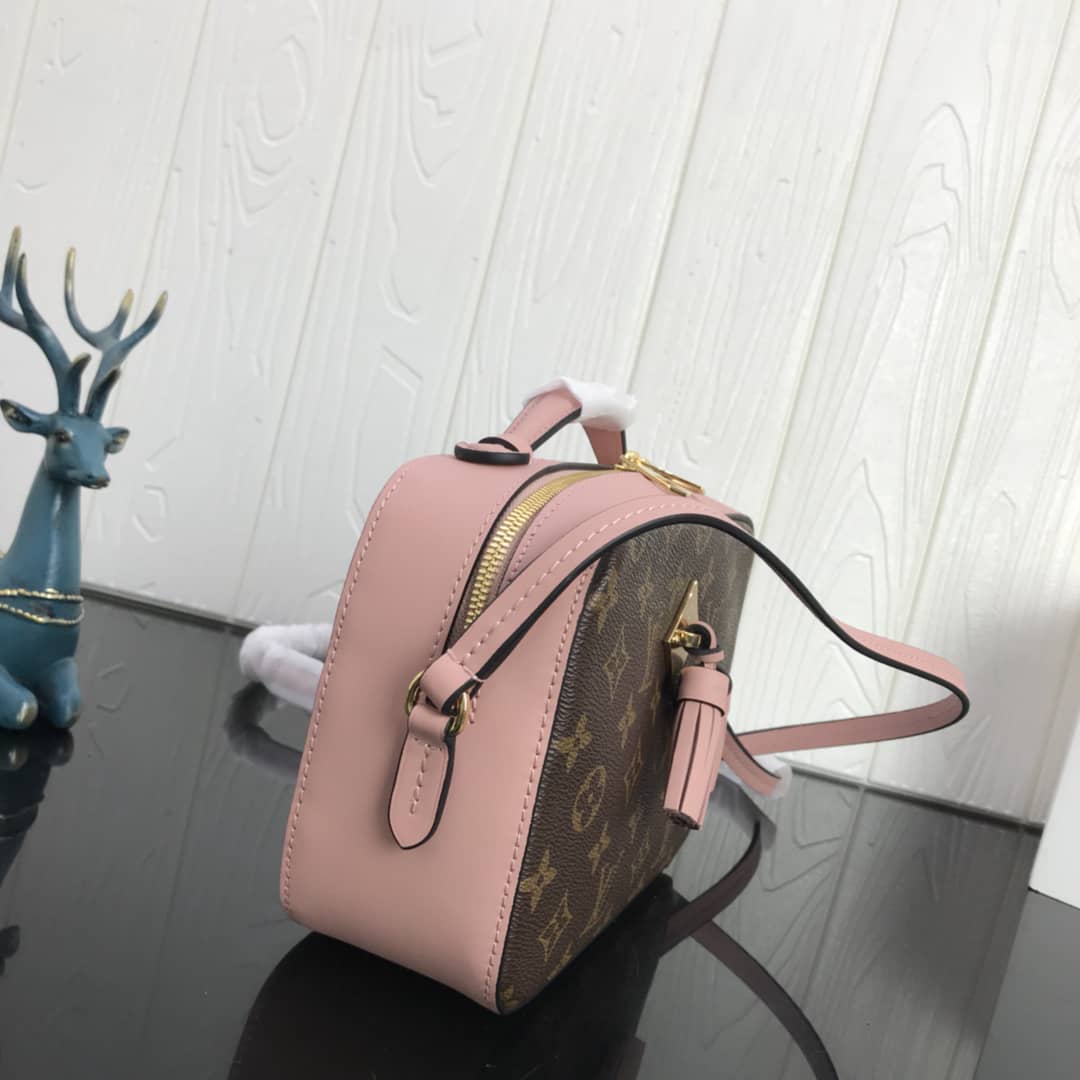 Louis Vuitton Canvas Saintonge Replica Camera Bag Pink M43555 - DEEPREPS