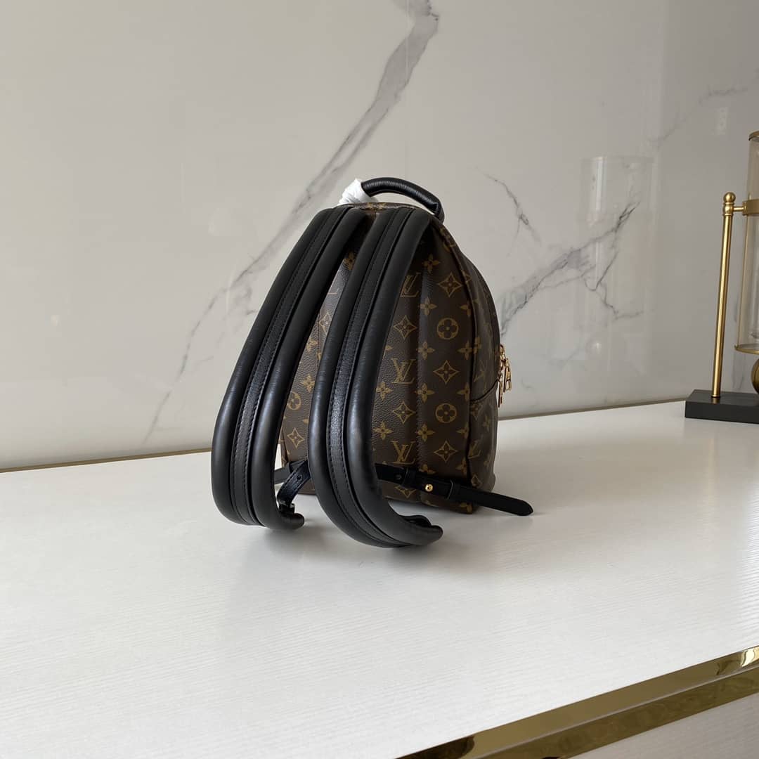 Louis Vuitton Monogram Palm Springs PM Replica Backpack M41560 - DEEPREPS