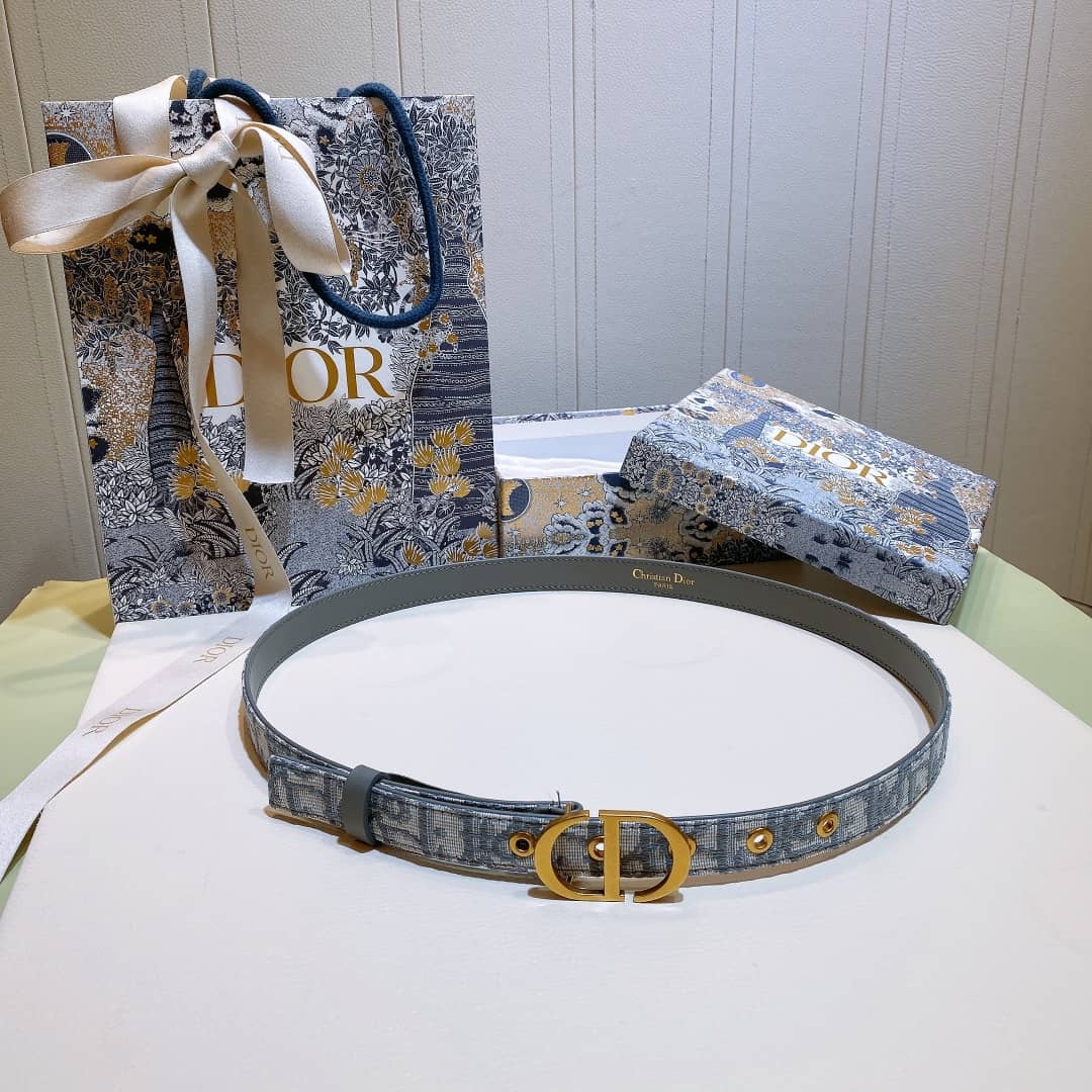 Best Dior Classic Belt 20mm For Lady - DEEPREPS