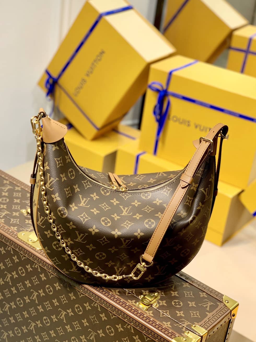 Louis Vuitton Loop Monogram Reverse Coated Canvas M46311 Replica Hobo - DEEPREPS