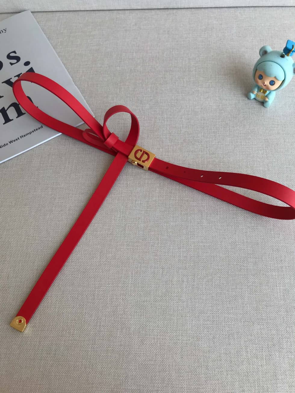 Dior Belt For Sale 17mm For Lady - DEEPREPS