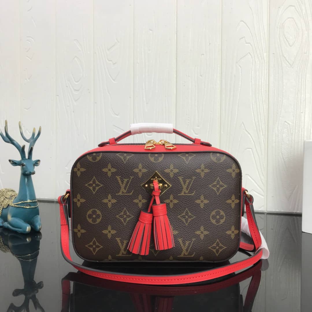 Louis Vuitton Canvas Saintonge Replica Camera Bag Red M43555 - DEEPREPS