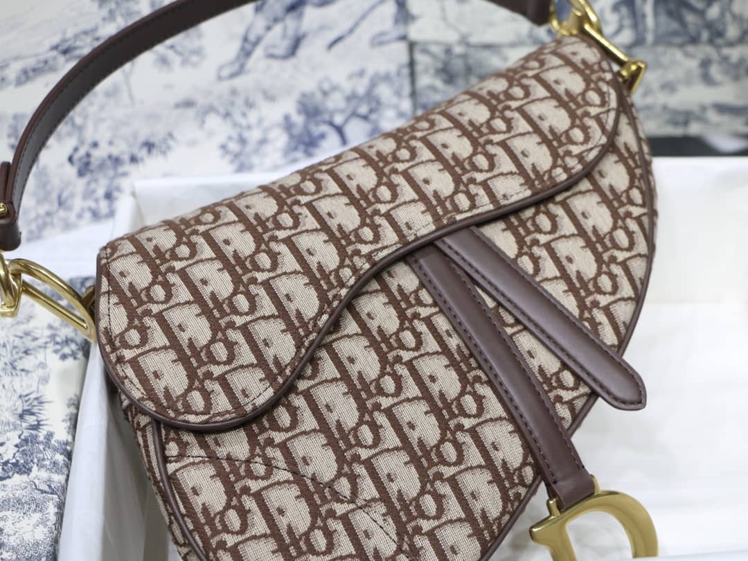 Dior Saddle Bag Dupe 25.5CM - DEEPREPS