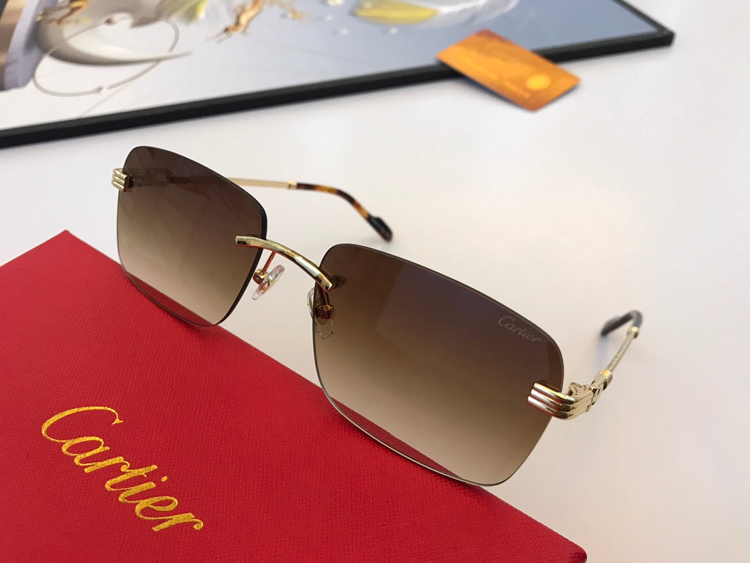 Cartier Sunglasses - DEEPREPS