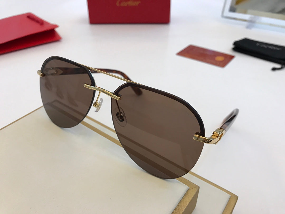 Cartier Sunglasses - DEEPREPS