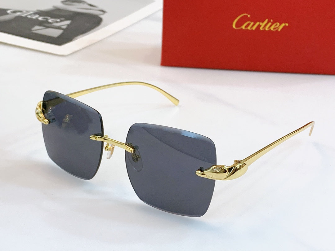 Cartier Sunglasses - DEEPREPS