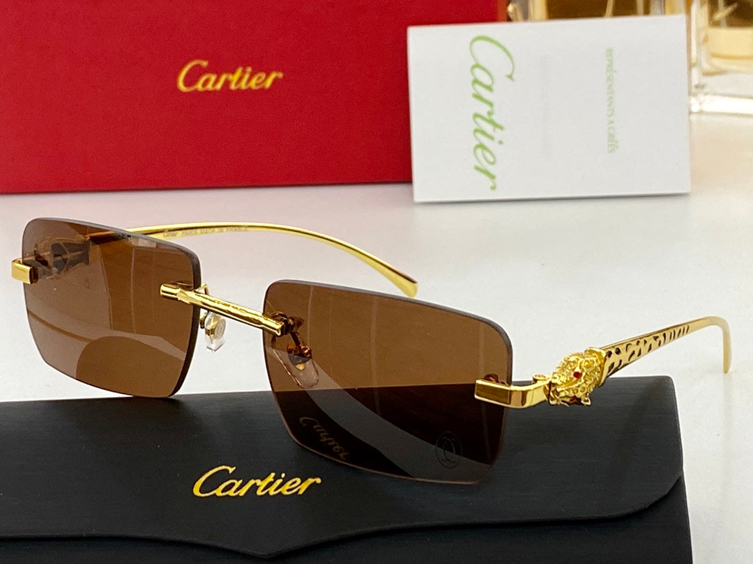 Cartier Sunglasses - DEEPREPS