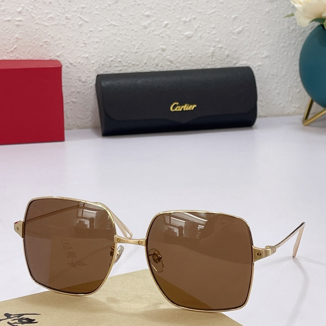 Cartier Sunglasses - DEEPREPS