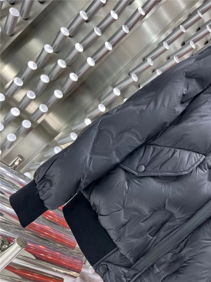 2023fw LV Down Jacket Top Version - DEEPREPS