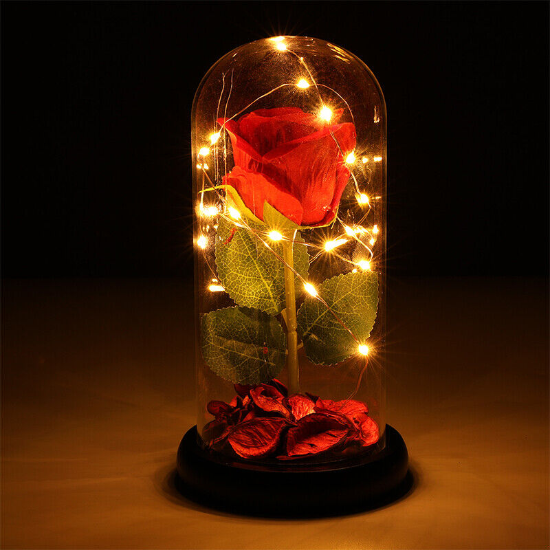 Great Choice Products Women Christmas Gifts, Rose Flower For Her Anniversary Lamp Rose In Glass Dome