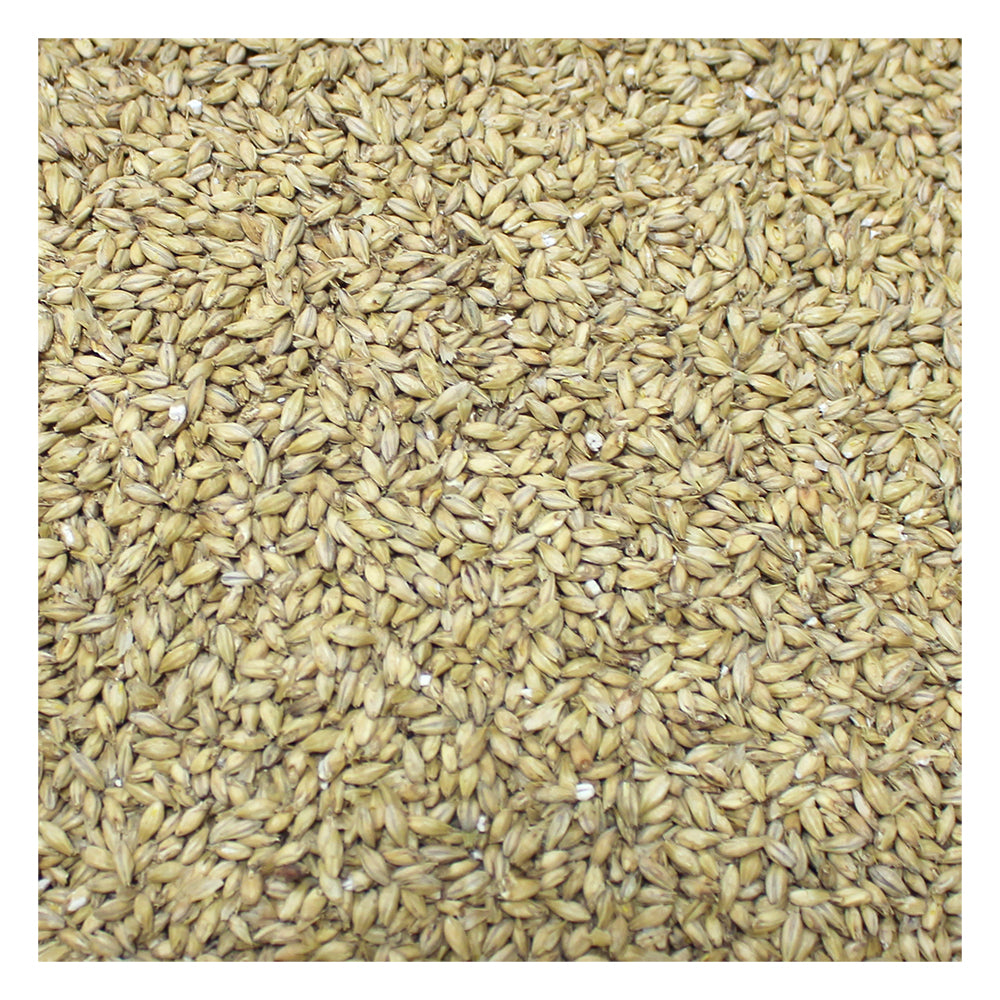 Home Brew Ohio Briess 2-Row Brewers Malt 50 Lbs.